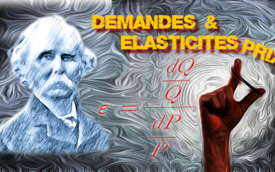 Fonctions de demande et élasticités prix (Focus)