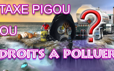 Taxe Pigou ou droits à polluer? Quelle est la meilleure solution?